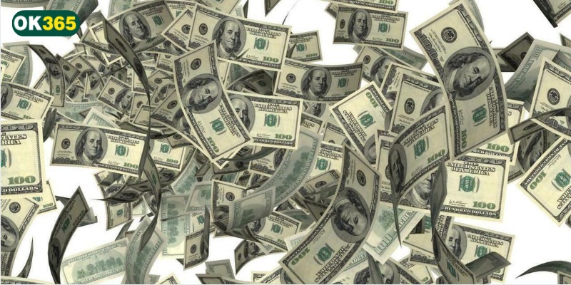 Hoa hồng hàng ngày