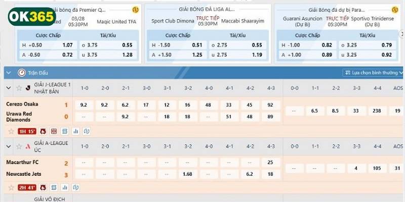 Hướng dẫn cách đọc kèo chi tiết